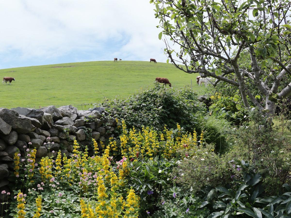 Waingate Cottage Cark Exterior photo